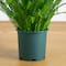 3ft. UV Resistant Artificial Boston Fern Plant with Real Touch Leaves (Indoor/Outdoor)